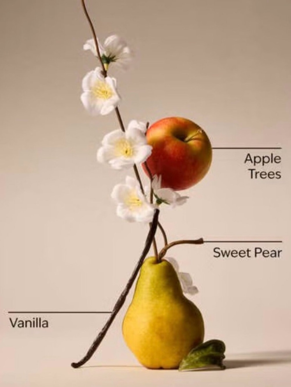 Bath & Body Works Spring Apple Candle 14.5oz Soy Wax Blend - Orchard Scent - Picture 2 of 2